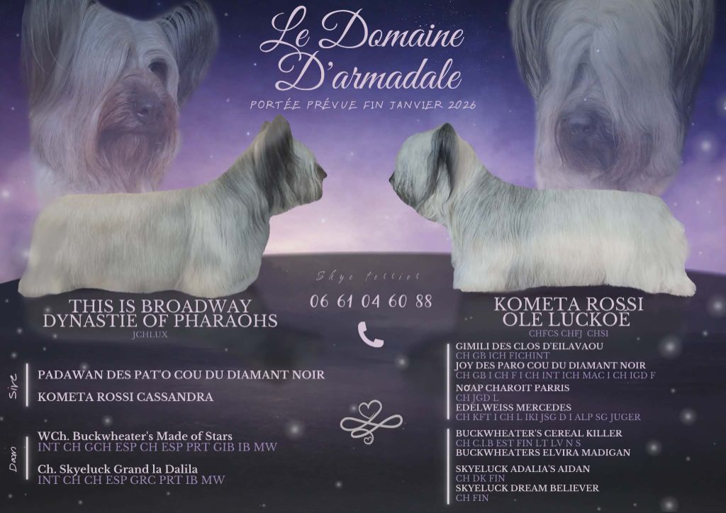 Annonce officielle d 'un mariage issu de lignées prestigieuse